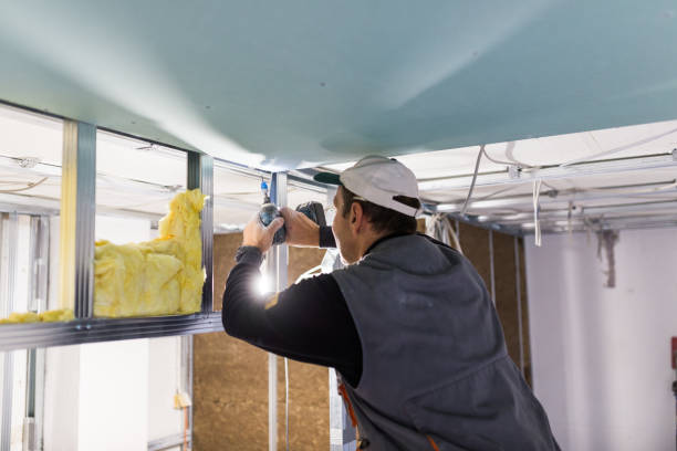 Best Fiberglass Insulation in Danvle, IL