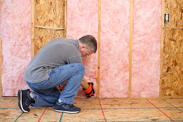 Best Geographic-Specific Insulation Services in Danvle, IL