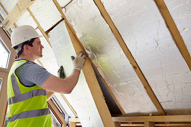 Best DIY Insulation Kits and Guidance in Danvle, IL